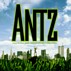 Antz Movie Mall